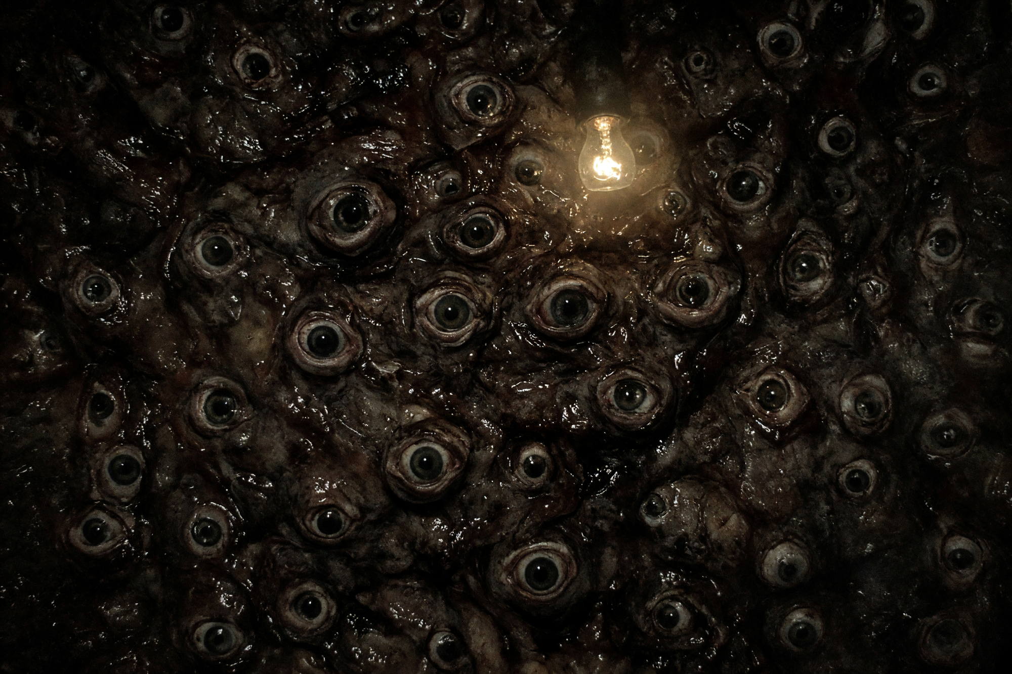 A wall of glistening dark flesh crowded with dozens of open eyes, lit by a single failing bulb.